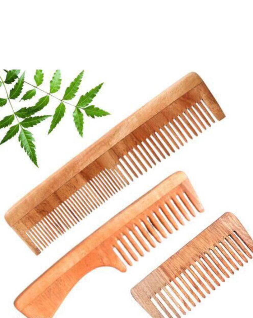 PURE NEEM COMB IN 100/- RUPEES:-